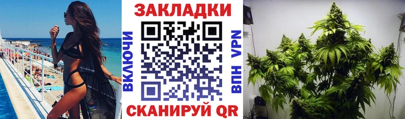 Продажа наркотиков Краснозаводск Галлюциногенные грибы  Меф  НБОМе  КОКАИН  АМФ  Каннабис 