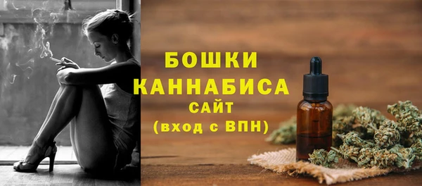 mdpv Каменногорск