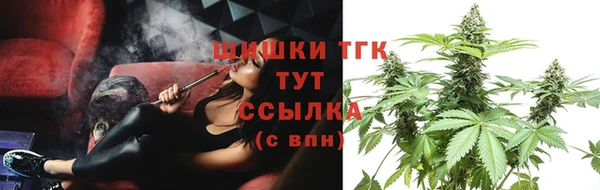 гидра Бугульма