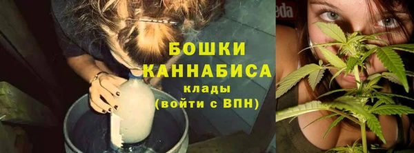 гидра Бугульма