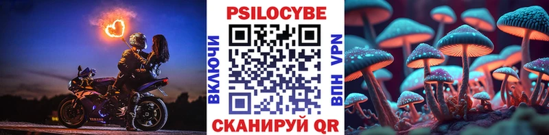 Псилоцибиновые грибы Psilocybe  наркотики  Краснозаводск 